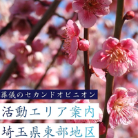 画像261