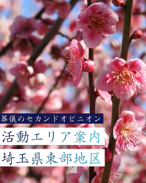 画像261