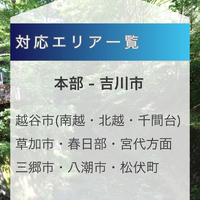 画像262