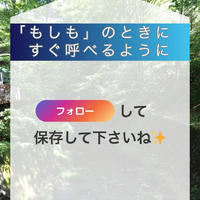 画像264
