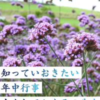 画像279
