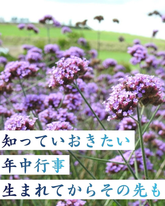 画像279