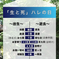 画像280