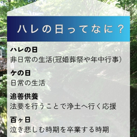 画像281