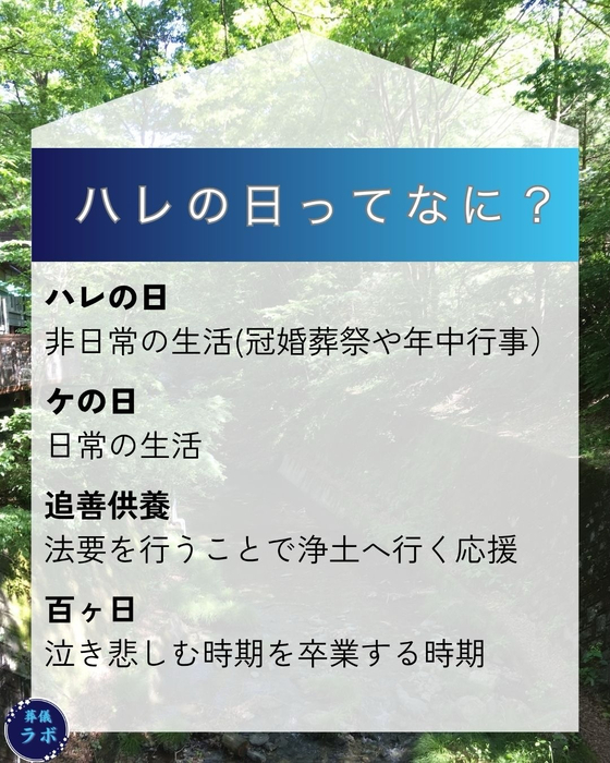 画像281