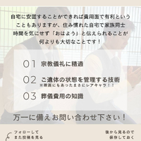 画像296